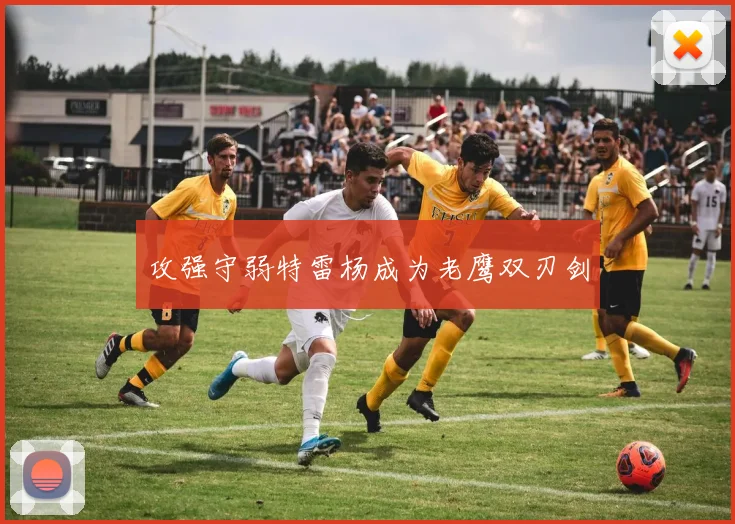 攻强守弱特雷杨成为老鹰双刃剑