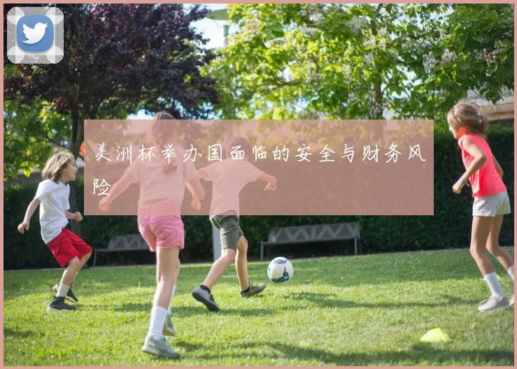 美洲杯举办国面临的安全与财务风险
