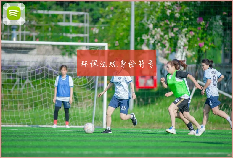 环保法规身份符号