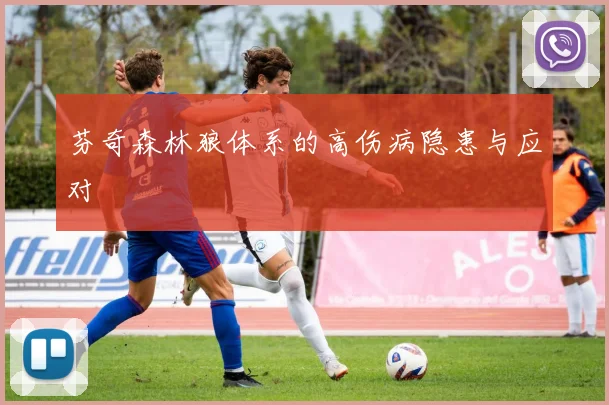 芬奇森林狼体系的高伤病隐患与应对