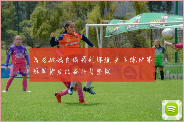 马龙挑战自我再创辉煌 乒乓球世界冠军背后的奋斗与坚韧