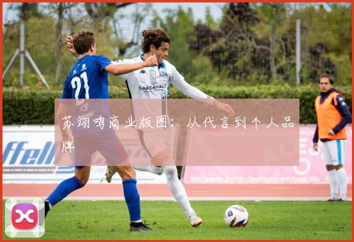 苏翊鸣商业版图：从代言到个人品牌