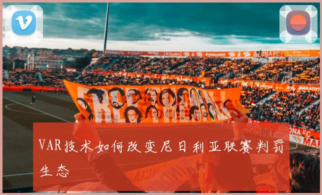 VAR技术如何改变尼日利亚联赛判罚生态